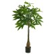 PLANTAS ARTIFICIALES 19040508