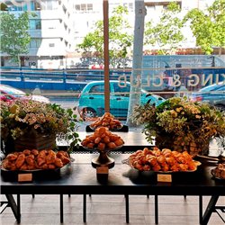 DECORACIÓN FLORES Y PLANTAS EVENTOS EV-19038