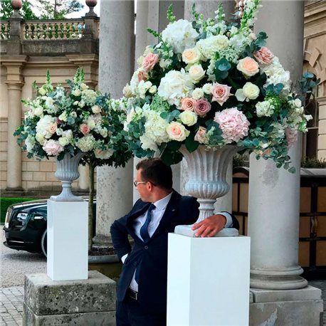 DECORACIÓN FLORES Y PLANTAS EVENTOS 19052934