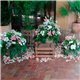 DECORACIÓN EXTERIORES DE BODA 190708027