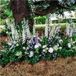 DECORACIÓN CEREMONIA DE BODA 190923033