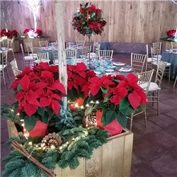 DECORACIÓN BANQUETE DE BODA 19122639