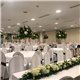 DECORACIÓN FLORES Y PLANTAS EVENTOS 19122673