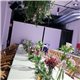 DECORACIÓN FLORES Y PLANTAS EVENTOS 19122690