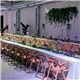 DECORACIÓN FLORES Y PLANTAS EVENTOS 19122692