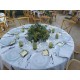 DECORACIÓN FLORES Y PLANTAS EVENTOS EV-21012