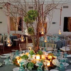 DECORACIÓN FLORES Y PLANTAS EVENTOS EV-22009