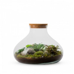 MICROCLIMA DE PLANTAS NATURAL JUNGLE