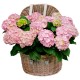 COFRE HORTENSIAS