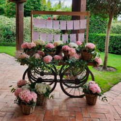 DECORACIÓN EXTERIORES DE BODA EX-23004