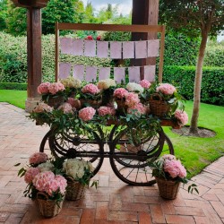 DECORACIÓN BANQUETE DE BODA BA-23006