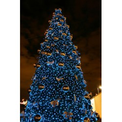 navidad124