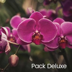 Pack Deluxe