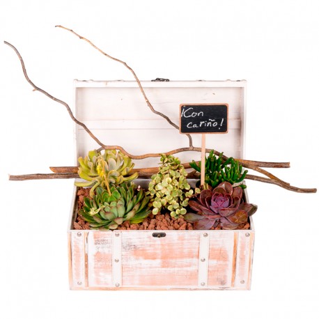 BAÚL DE PLANTAS MELIDE