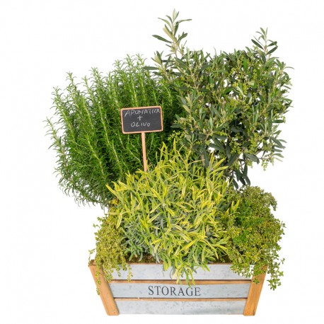 COMPOSICIÓN DE PLANTAS AMENAL