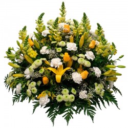 CENTRO FLORES GIALLO