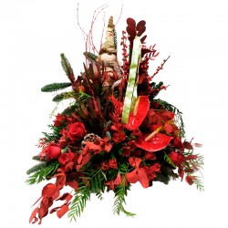 CENTRO DE NAVIDAD COMET