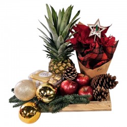 CENTRO DE NAVIDAD XMAS TROPIC