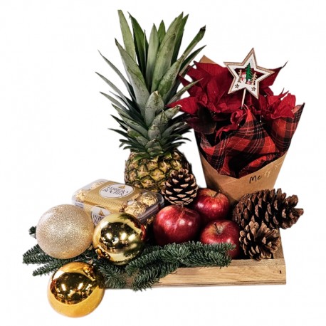 CENTRO DE NAVIDAD XMAS TROPIC