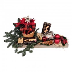 CENTRO DE NAVIDAD XMAS TROPIC