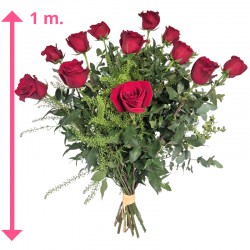 12 ROSAS DE 1 METRO