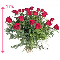 24 ROSAS DE 1 METRO