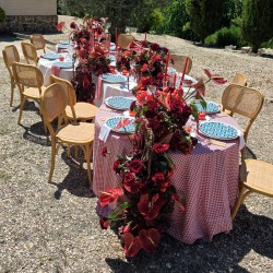 DECORACIÓN FLORES Y PLANTAS EVENTOS EV-25007