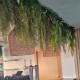 JARDINES VERTICALES 25004