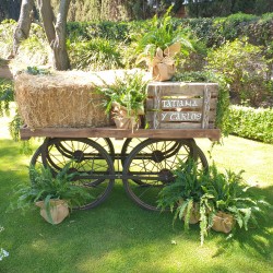 DECORACIÓN EXTERIORES DE BODA EX-25007