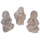 BUDAS DE LA SABIDURÍA