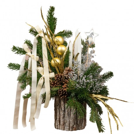 CENTRO NAVIDEÑO BOREAL