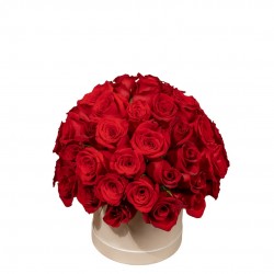 SOMBRERERA CON 60 ROSAS