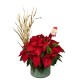 POINSETTIAS NOEL