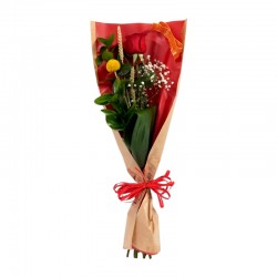 ROSA UNITARIA ESPECIAL SAN JORDI