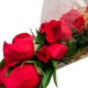 BOLSO DE ROSAS