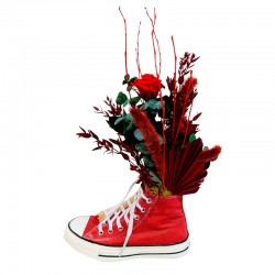RED CONVERSE PRESERVADA