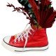 RED CONVERSE PRESERVADA