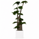 ÁRBOL JUNÍPERUS 190 CM.