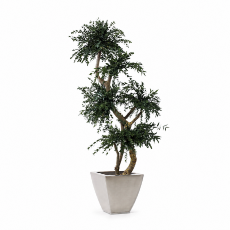 ÁRBOL TOPIARI PARVILFOLIA 150 CM.