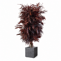 ÁRBOL NÍCOLI ROJO 130 CM.