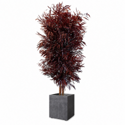 ÁRBOL NÍCOLI ROJO 180 CM.