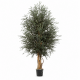 ÁRBOL PARVIFOLIA 130 CM.