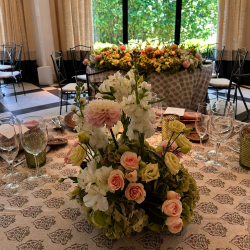 EVENTOS EV-26006