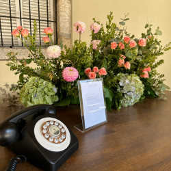 EVENTOS EV-26009
