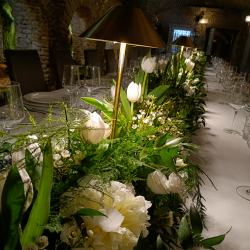 EVENTOS EV-26019