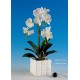 Planta Artificial (PA105)