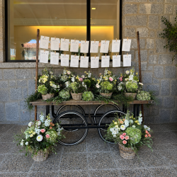 DECORACIÓN EXTERIORES BODA EX26010