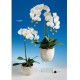 Planta Artificial (PA106)