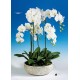 Planta Artificial (PA107)