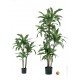 Planta Artificial (PA118)